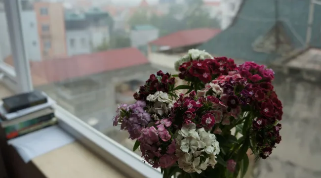 Совместимы ли добродетель и воздержание?