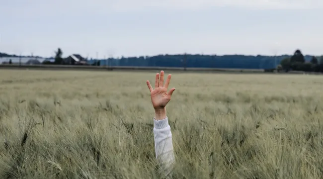 5 заблуждений относительно общины