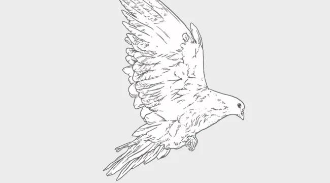 Holy Spirit Come