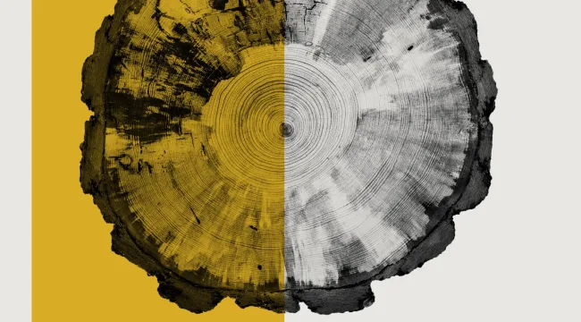 Felling Giants - EP