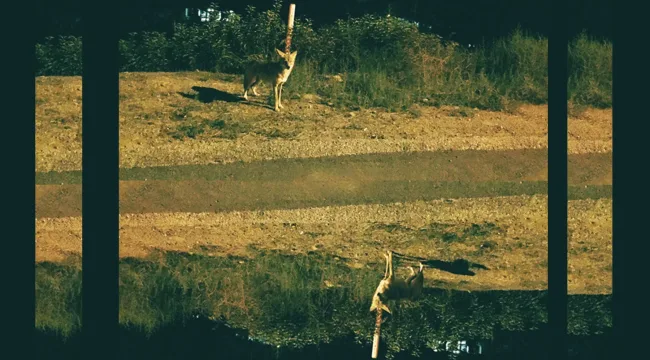 Water Will Rise