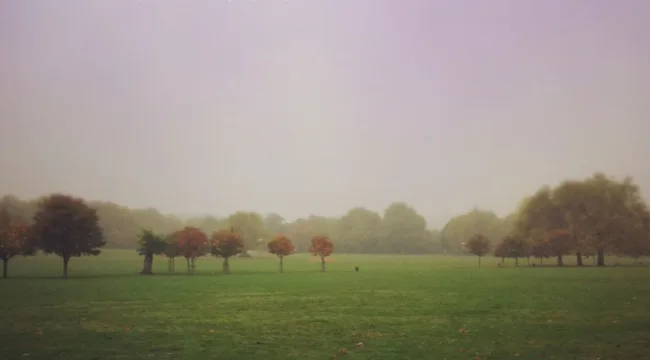 Come and Breathe