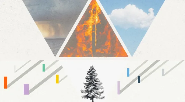 Wildfire