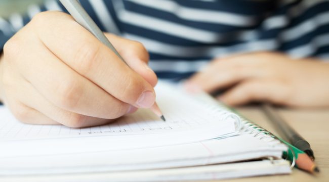 Законопроект ставит под угрозу права родителей на домашнее образование