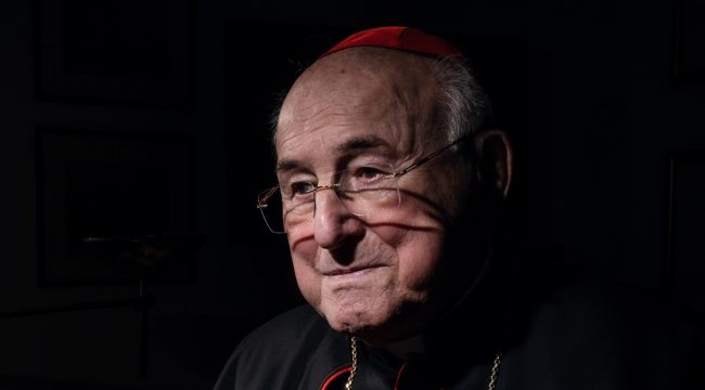 Кардинал Брандмюллер: О новом Вселенском соборе говорить еще слишком рано