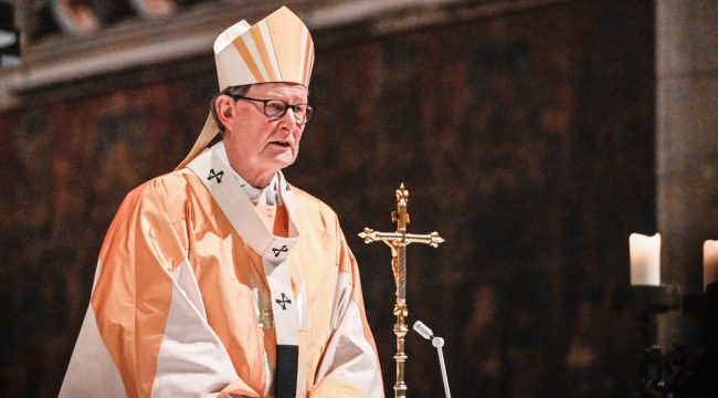 Кардинал Вёльки: Германия стала страной миссионерства