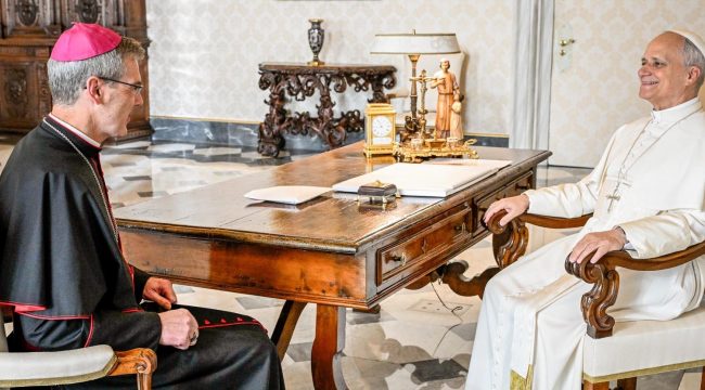 Папа Лев XIV принял епископа Вильмера вслед за встречей с епископом Майером