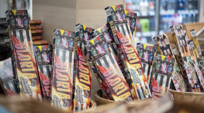 Тишина для пернатых: защитники природы призывают отказаться от фейерверков в новогоднюю ночь