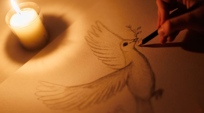 Как творить мир: новые книги о пацифизме, активизме и личных историях