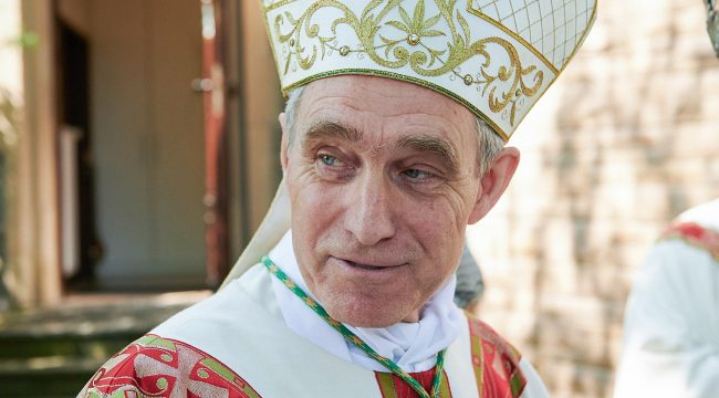 Архиепископ Генсвайн надеется на начало процесса беатификации Бенедикта XVI