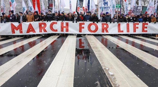Папа Лев XIV: Защита жизни – основа здорового общества