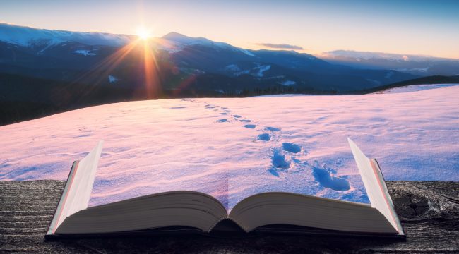 Как задать курс на 2026 год: четыре новые книги для духовных поисков и размышлений