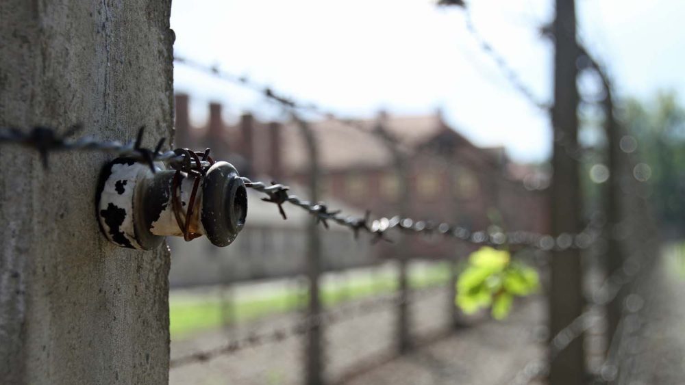 Папа Лев XIV призывает к миру и уважению между народами в день памяти жертв Холокоста