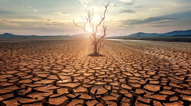 Экологическая забота: библейские корни и моральная ответственность