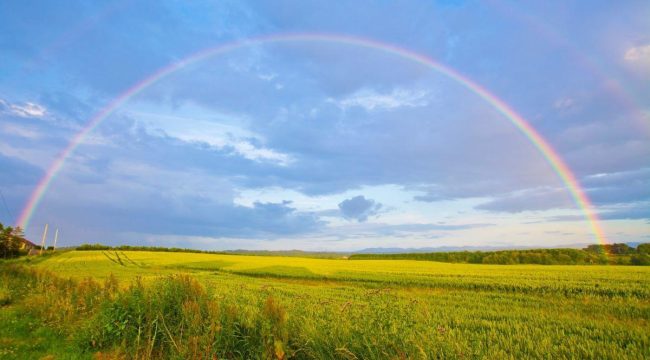 Ошибки в оценке божьих благословений могут привести к катастрофе