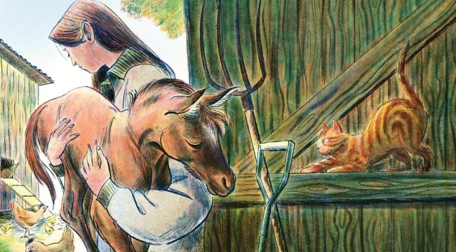 Птицы и пчёлы, дети и я: размышления о жизни без детей