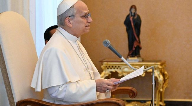 Лев XIV: диалог делает Церковь знаком единства