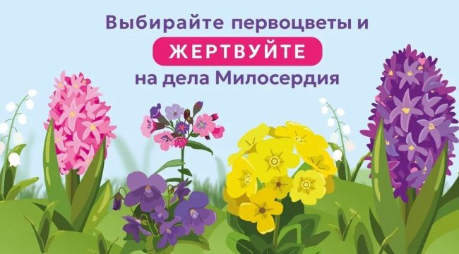 Стартовала акция в поддержку портала «Милосердие.ru»