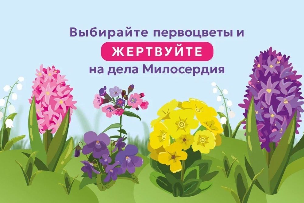 Стартовала акция «Цветы милосердия» в поддержку портала Милосердие.ru