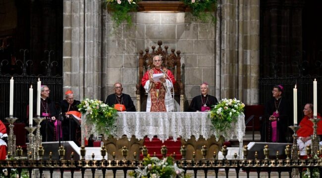 Папа: мы сильны в единстве и многообразии