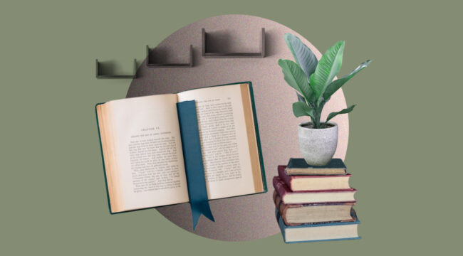 На моей полке: жизнь и книги с Джозефом Шеррардом