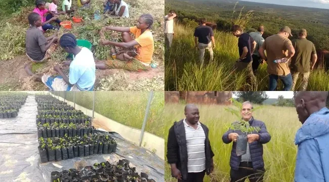 Епископ в Анголе подчеркивает «ценности Laudato Si’» в своем видении экологического обновления