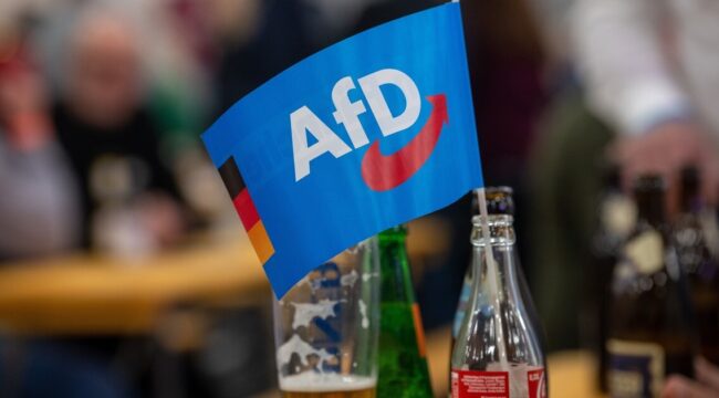 Юридическое заключение: AfD неконституционна