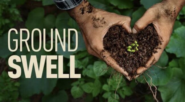 Фермер-регенеративист из фильма «Groundswell» призывает потребителей задуматься о происхождении еды