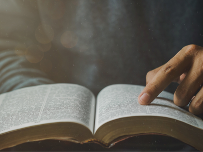 500 000 библий продается ежегодно во Франции: рынок сопротивляется кризису книжной отрасли