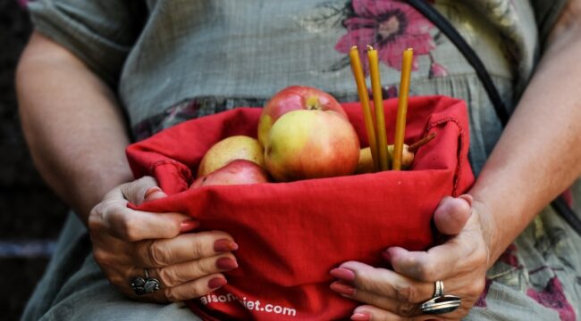 Священник объяснил, куда деть освященные в Яблочный Спас фрукты