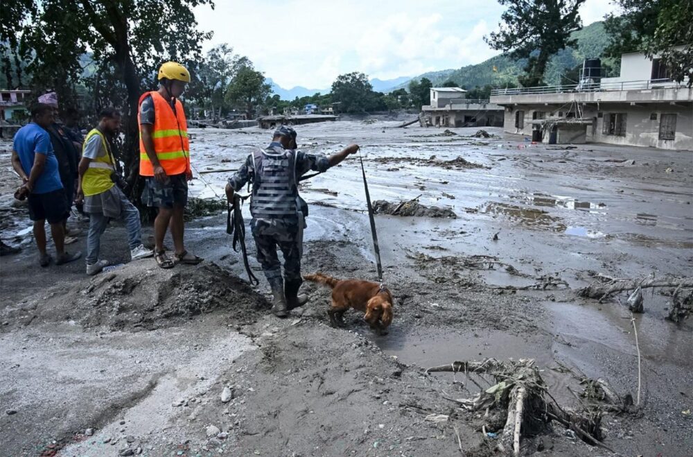 Папа скорбит о жертвах трагедии в Непале