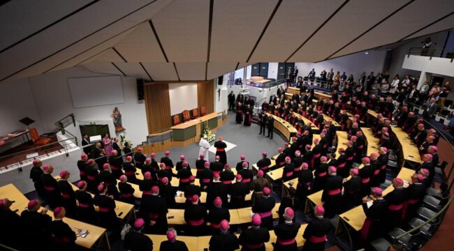 Папа Лев XIV обозначил задачи французского епископата
