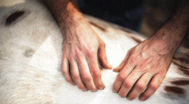 Логика заместительного наказания в книге Левит