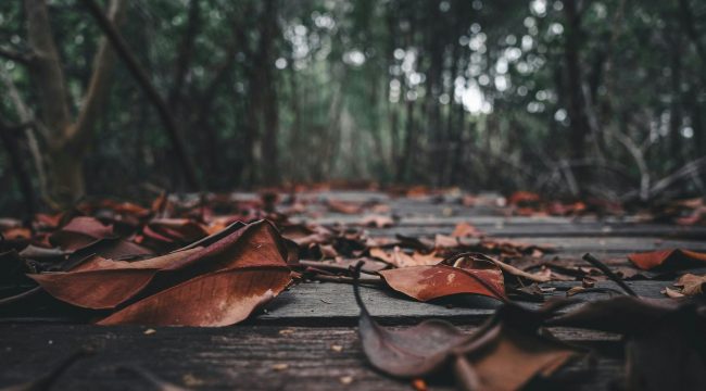 Любить стареющих родителей