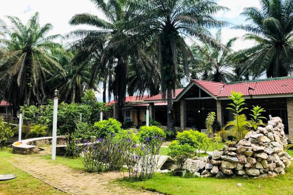 В Малайзии открылся «дом престарелых» для молодых людей поколения Z, страдающих от выгорания